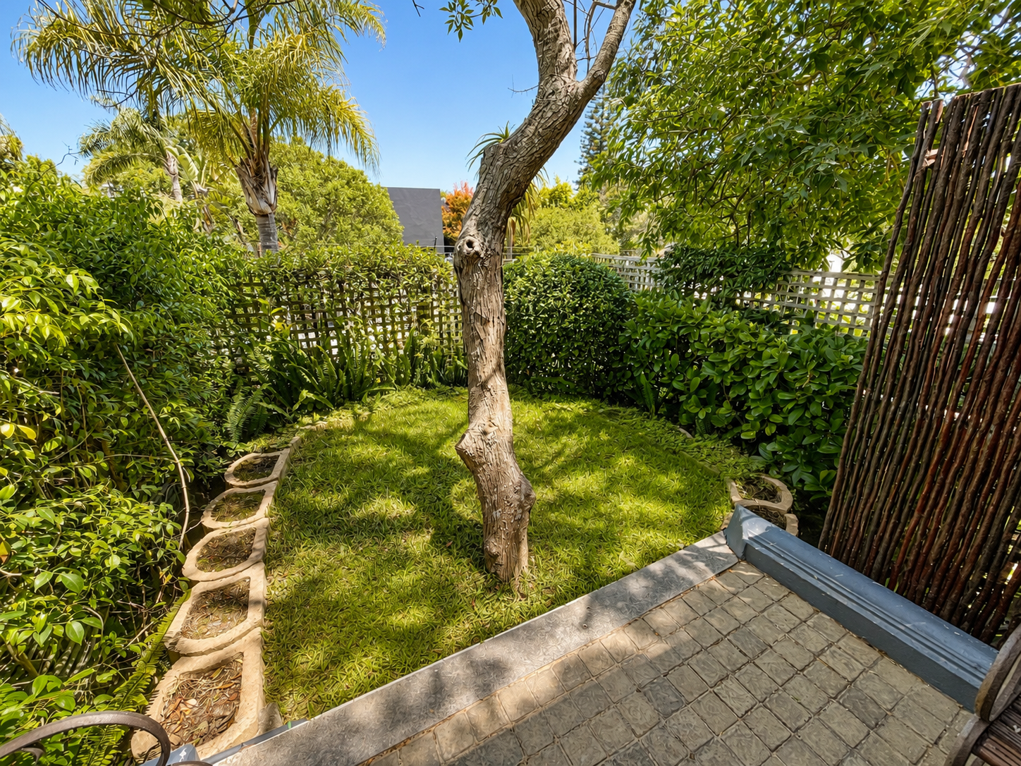 Mountain Room garden